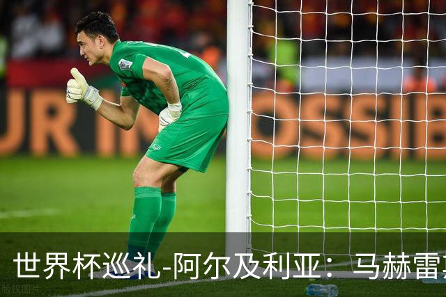 世界杯巡礼-阿尔及利亚：马赫雷斯领衔阵容实力出色，有黑马潜质